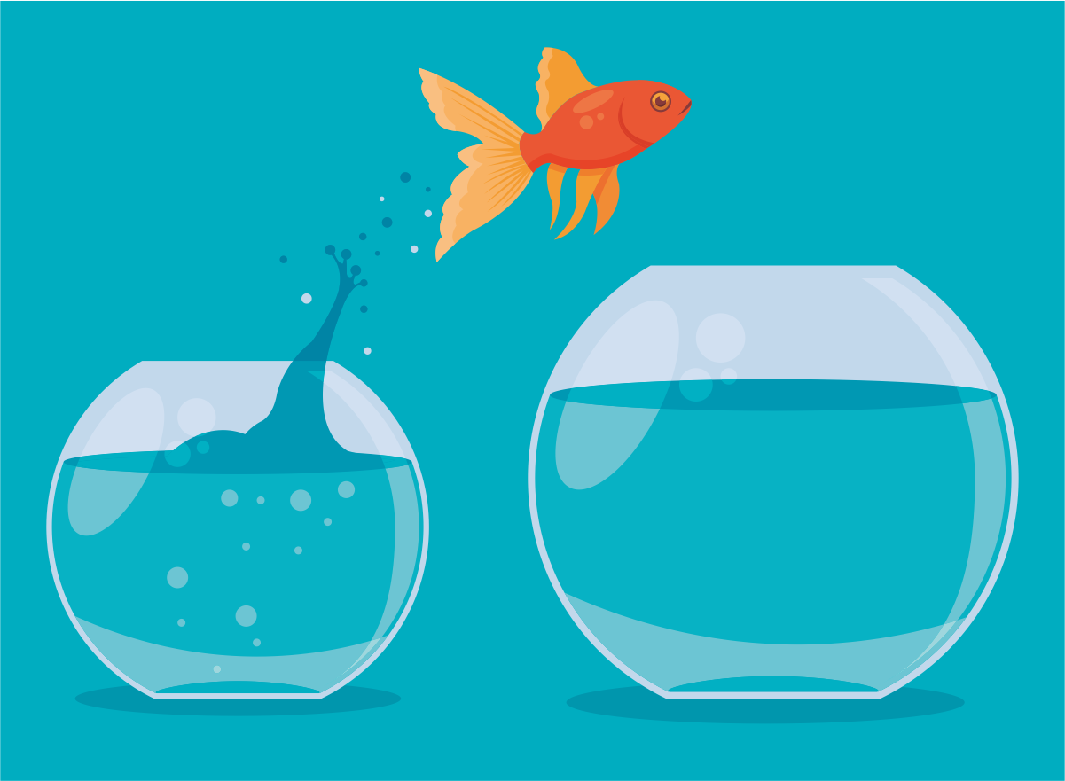 The hidden costs of deflecting expenses in corporate software development